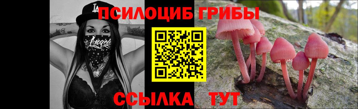 Смоленск  Галлюциногенные грибы Cubensis  Вход с VPN 