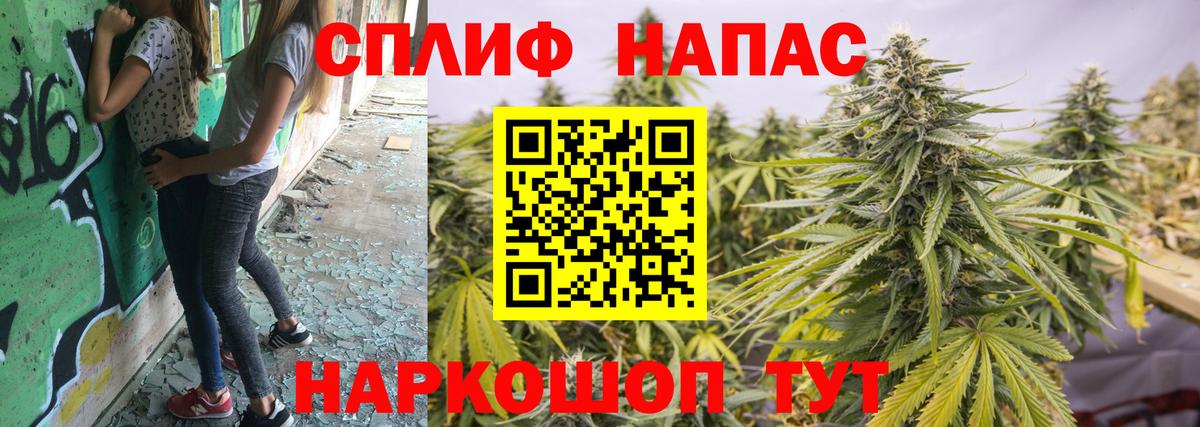Конопля марихуана Смоленск